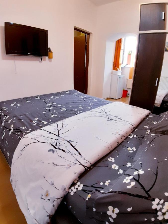 Studio La Stefy Lejlighed Sibiu Eksteriør billede